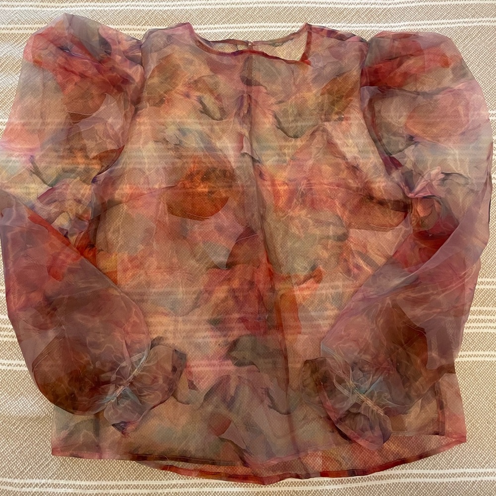 Sheer floral organza blouse top